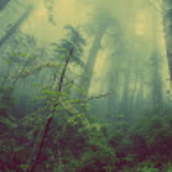 Meet your Posher, Victoria - Picture 1 of 1